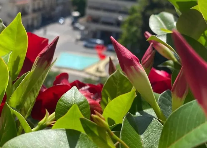 Pensión A I R House